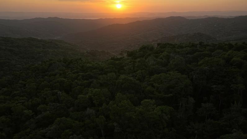 Sunset over a Panamanian forest. Image by Rhett A. Butler/Mongabay.