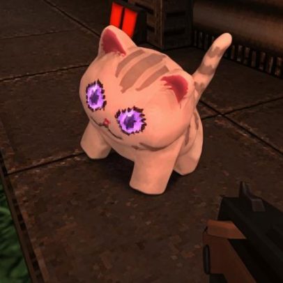 Novo FPS de 15 dólares permite resgatar gatinhos e combater demônios