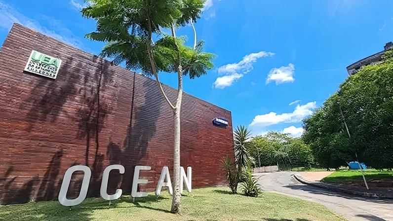 Samsung lança programa gratuito de capacitação tecnológica