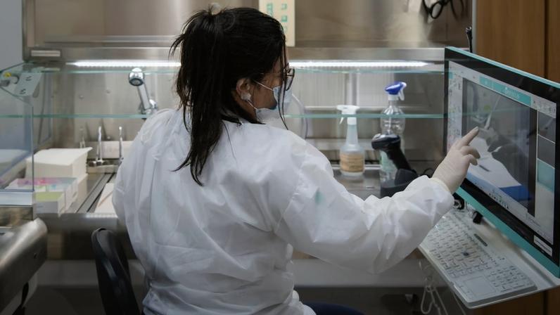 telepatologia - foto rafael nascimento.jpg