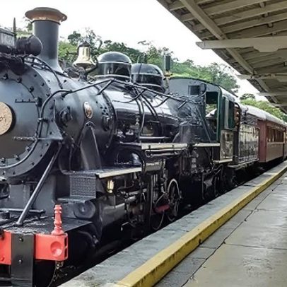 Passeio de trem em Minas Gerais oferece experiência gastronômica completa