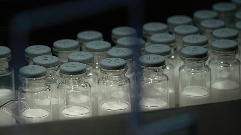 Butantan inicia recrutamento de idosos para ensaio da vacina da dengue