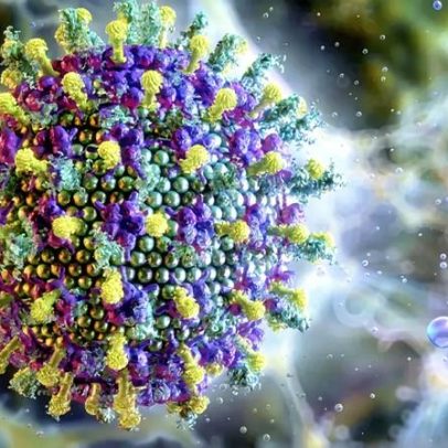 OMS afirma que risco do Nipah é baixo na Índia, sem transmissão