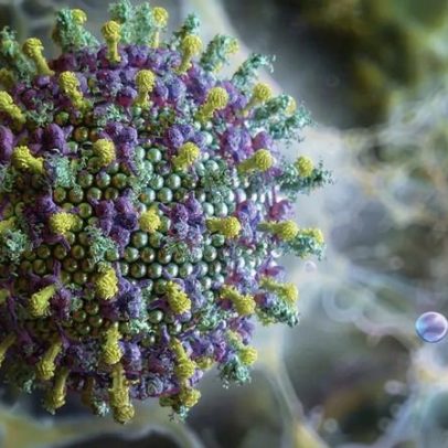 Ministério da Saúde afirma que Nipah não representa ameaça ao Brasil