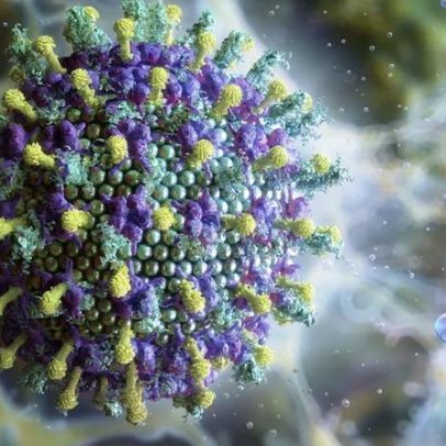 Nipah: conheça o vírus que preocupa a Ásia
