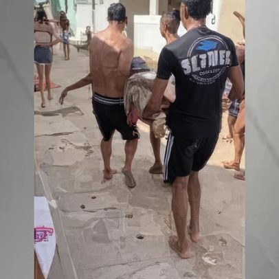 Menino de 13 anos morre após ataque de tubarão em Olinda