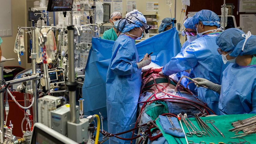 Fotografia dos pulmões novos (à esquerda) e os pulmões antigos (à direita) dos pacientes.