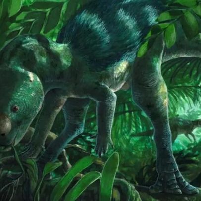 Dinossauro minúsculo revelado na Espanha pode mudar a evolução dos herbívoros