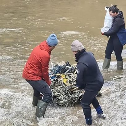 Resgates de focas sobem com aumento de resíduos plásticos nas praias