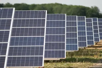 Petição questiona o maior parque solar da Inglaterra