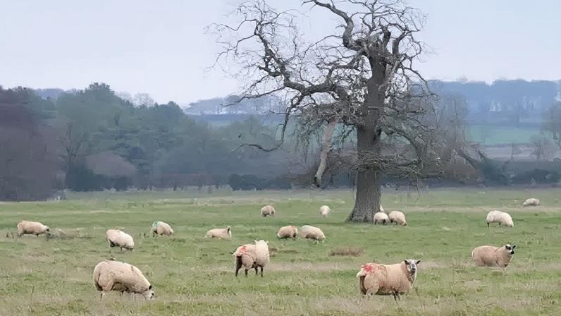 Norfolk County Council has pledged to retain its agricultural land for farming