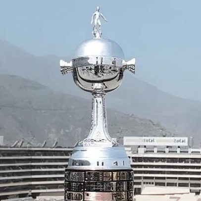 Bahia e Botafogo: cenários para avançar na Libertadores