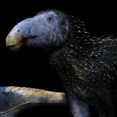 Fóssil de dinossauro com espinhos no corpo surpreende cientistas