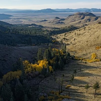 Tribo Washoe adquire 10 mil acres, um dos maiores retornos de terras na Califórnia