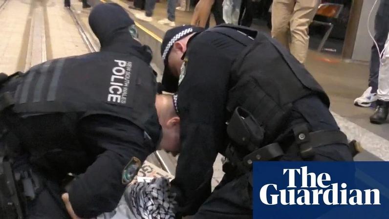 NSW police punch person multiple times during Sydney anti-Herzog protest – video