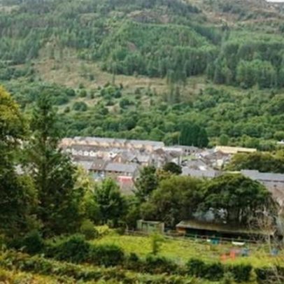 Como uma vila no País de Gales salvou sua floresta e seu futuro