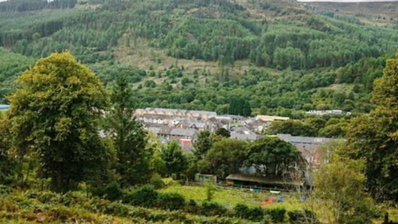 Cwm Saerbren woods above Treherbert, Rhondda valley.