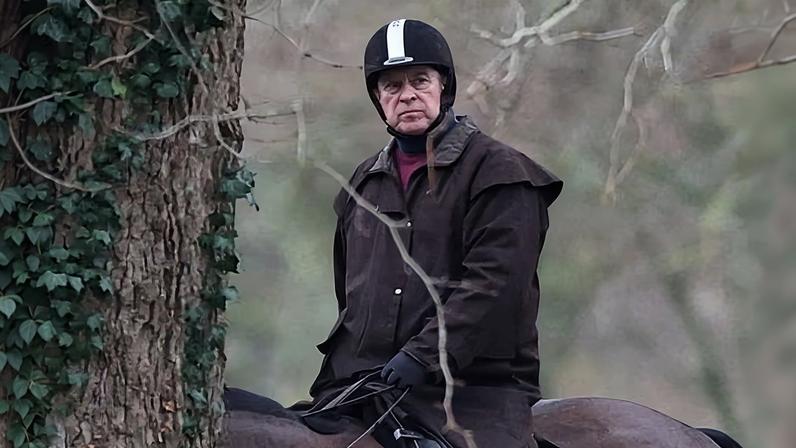 Emails suggest Andrew shared sensitive information with Jeffrey Epstein while he was UK trade envoy between 2001 and 2011.