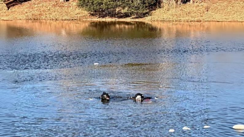 Sheldy Apollon’s car fully submerged in the pond in Florida.