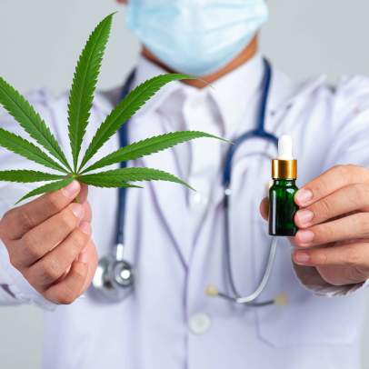 Anvisa autoriza plantio de cannabis para uso medicinal e pesquisa no Brasil