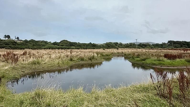 Plans have been submitted for wetlands in Patrick