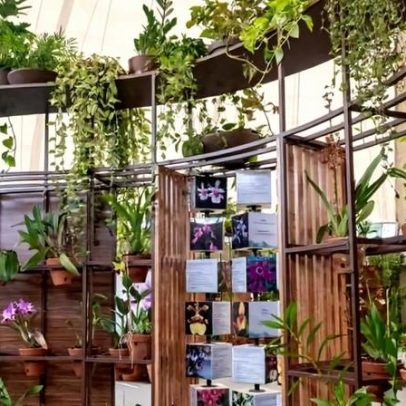 Orquidário do Parque Villa-Lobos reabre após dez anos