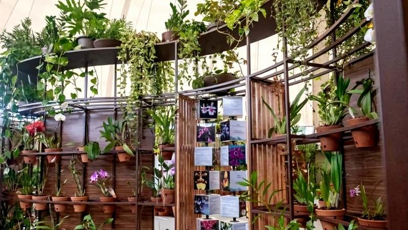 Orquidário do parque Villa Lobos é reaberto