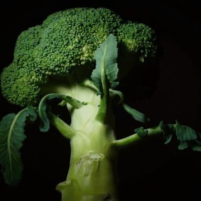 Fibermaxxing, tendência alimentar aprovada por nutricionistas