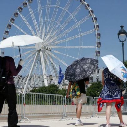 Calor na Europa pode elevar transmissão do vírus Chikungunya