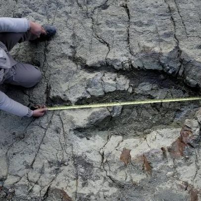 IA identifica quais dinossauros deixaram quais pegadas