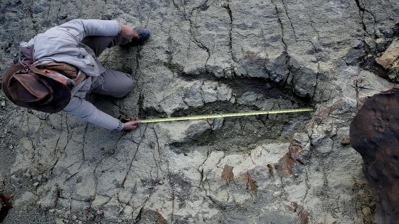 Paleontólogo Sebastián Apesteguia mede pegada de dinossauro na Bolívia