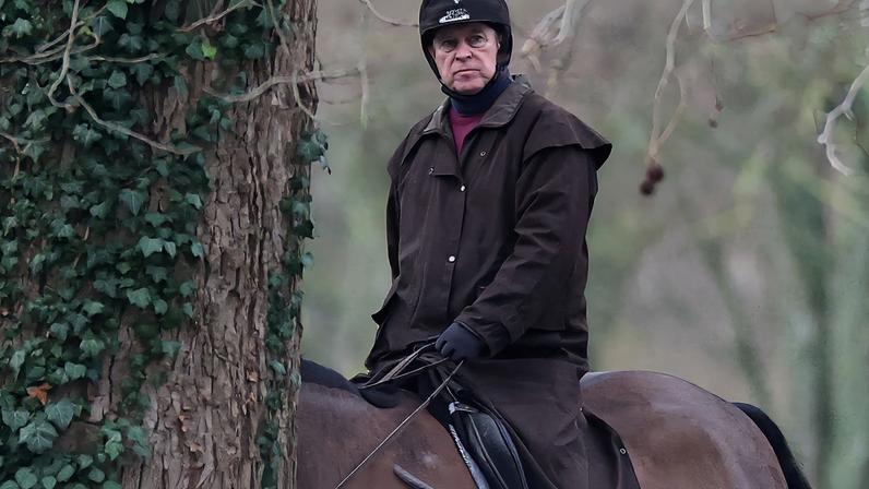 Andrew Mountbatten-Windsor no Windsor Great Park 2/2/2026 REUTERS/Toby Melville