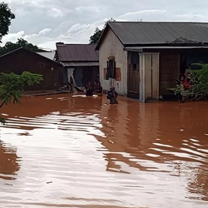 Equipes Durrell atingidas pelo ciclone em Madagascar