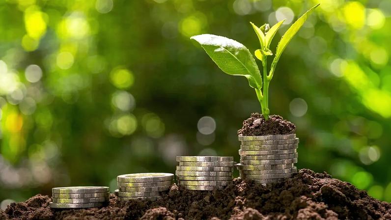Fotografia de moedas com planta em cima colocar o solo no fundo do verde da natureza.