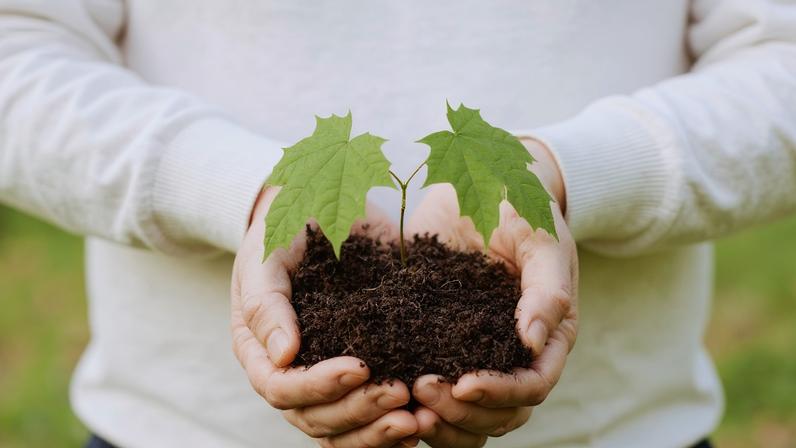 (Foto ilustrativa: Unsplash/Madara)