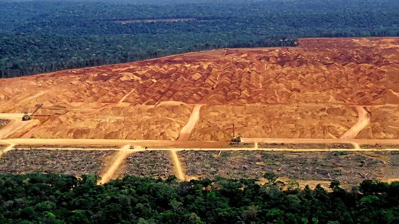 Fotografia de uma área desmatada na Amazônia.