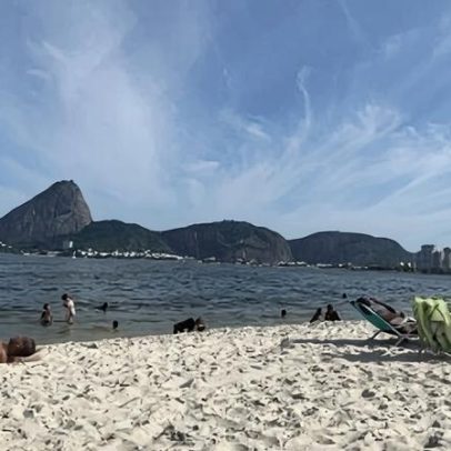 Leituraço transforma Praia do Flamengo em biblioteca ao ar livre