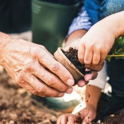 5 sementes para plantar no coração dos netos nesta primavera