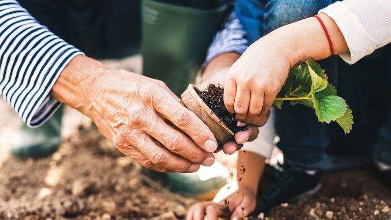 5 Seeds to Plant in Your Grandchildren's Hearts This Spring