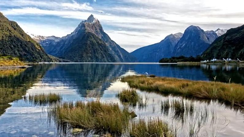 New Zealand has had a rise in applications under its Active Investor Visa scheme after it relaxed requirements – including lowering investment thresholds – in 2025.