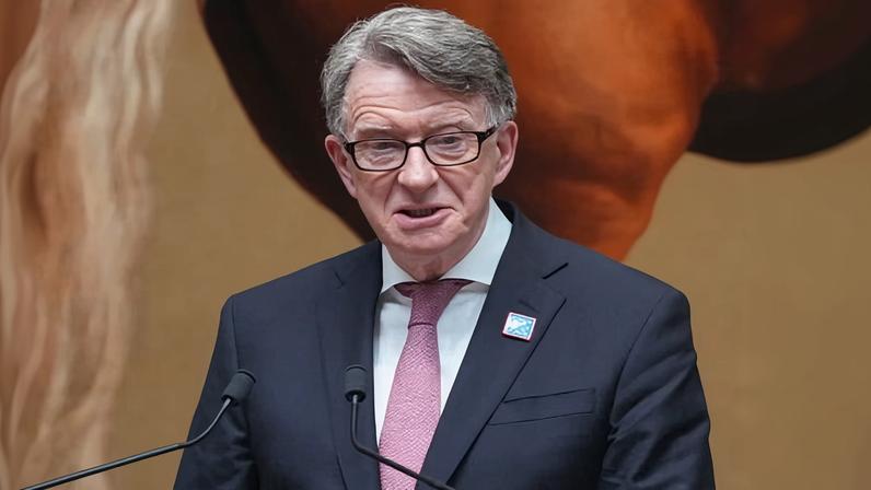 The crisis engulfed Global Counsel after it emerged Mandelson (pictured) had sought Epstein’s advice on setting up the business in 2010.