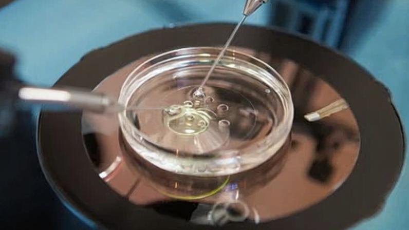 More than a dozen fertility patients won a high court ruling allowing embryos, eggs and sperm to remain in storage after consent windows were missed.