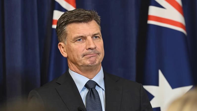 One Liberal MP says they were concerned the party would move further to the right under new leader, Angus Taylor.