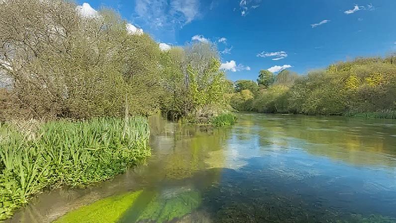 The River Itchen is one of only six chalk streams in England that support Atlantic salmon, the MP said