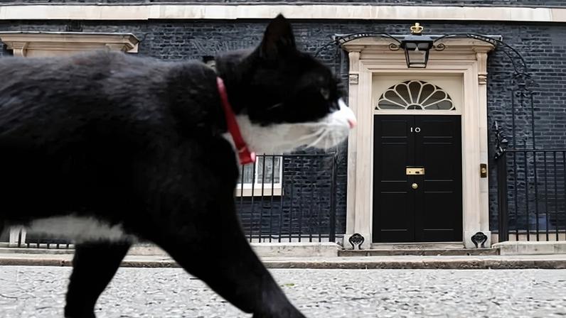Palmerston walks past 10 Downing Street in June 2017 after snap general election.