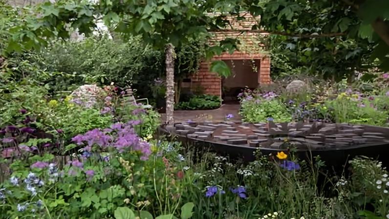 Flowers in bloom in bloom in show garden