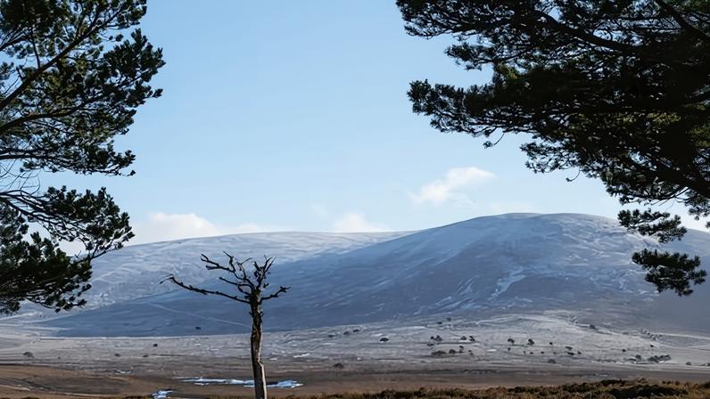 Oxygen Conservation and other landowners have used a mechanism that allows them not to disclose the purchase price of Highland estates.