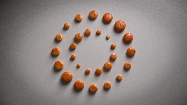 Guinea on Friday released 16 security personnel from neighboring Sierra Leone arrested earlier this week, two officials said, a move that may de-escalate the latest flare-up of a long-running border dispute.