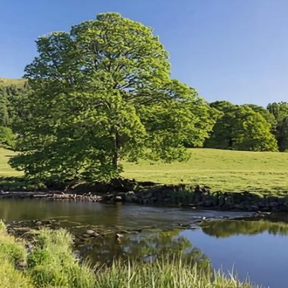 Corrida para localizar fonte de PFAS carcinogênicos em águas Cumbria-Lancashire