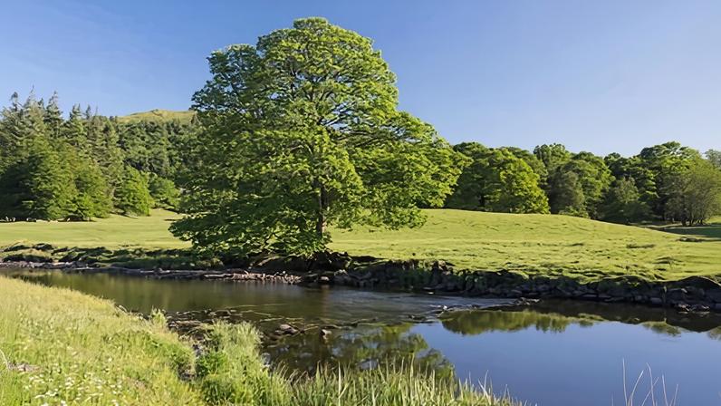 The contamination spans an area of outstanding natural beauty with multiple protections for wildlife and habitats.